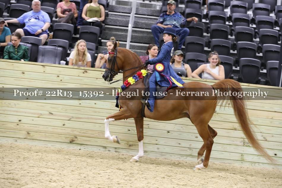 Proof 22R13_15392