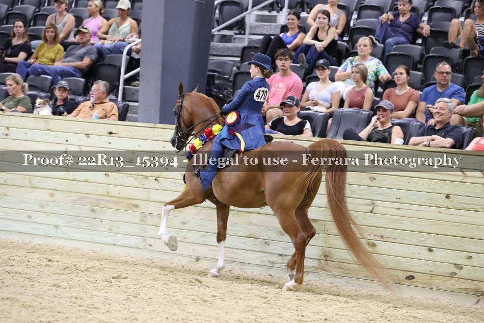 Proof 22R13_15394