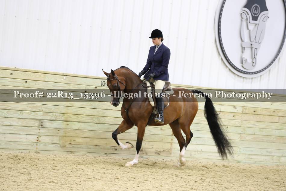 Proof 22R13_15396