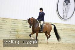 22R13_15396 proof