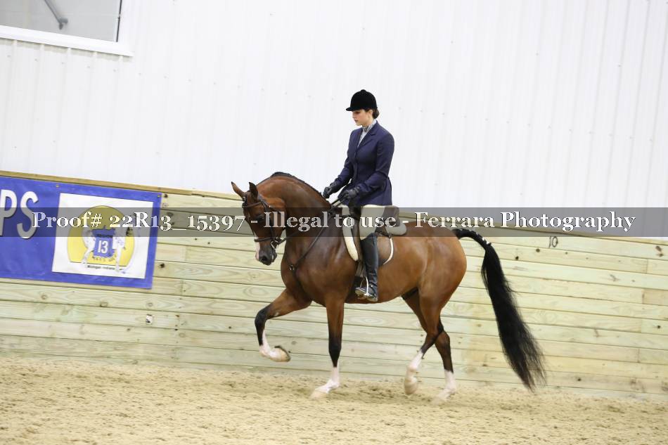Proof 22R13_15397