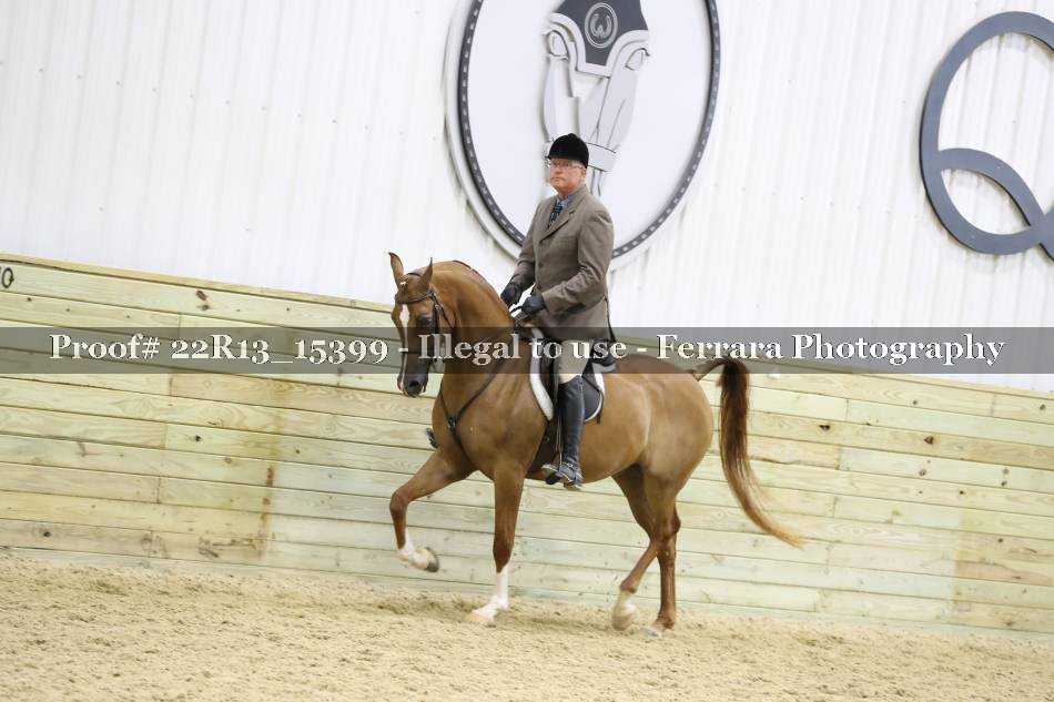 Proof 22R13_15399