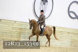 22R13_15399 proof