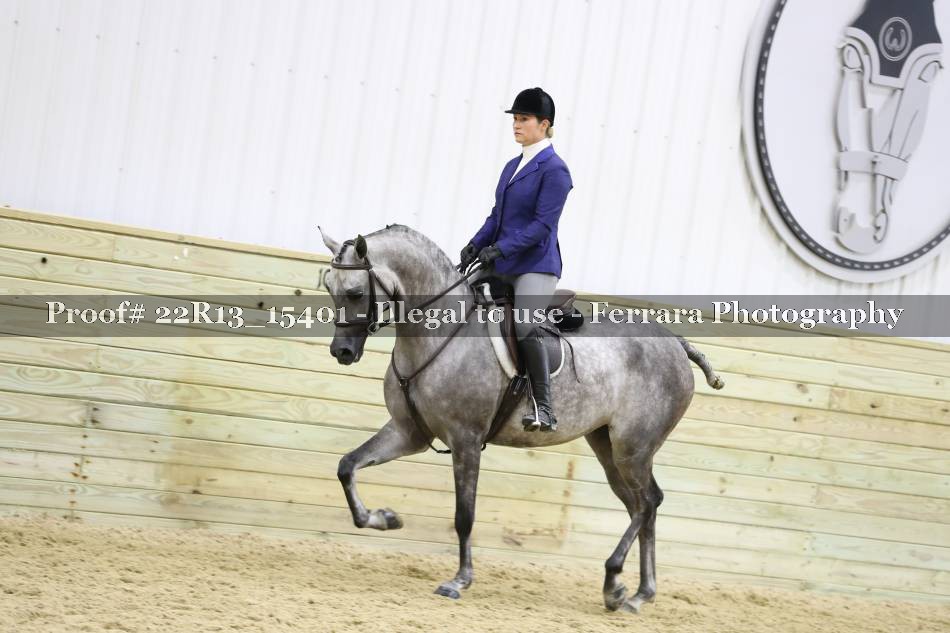 Proof 22R13_15401