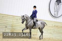 22R13_15401 proof