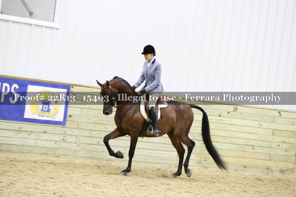 Proof 22R13_15403