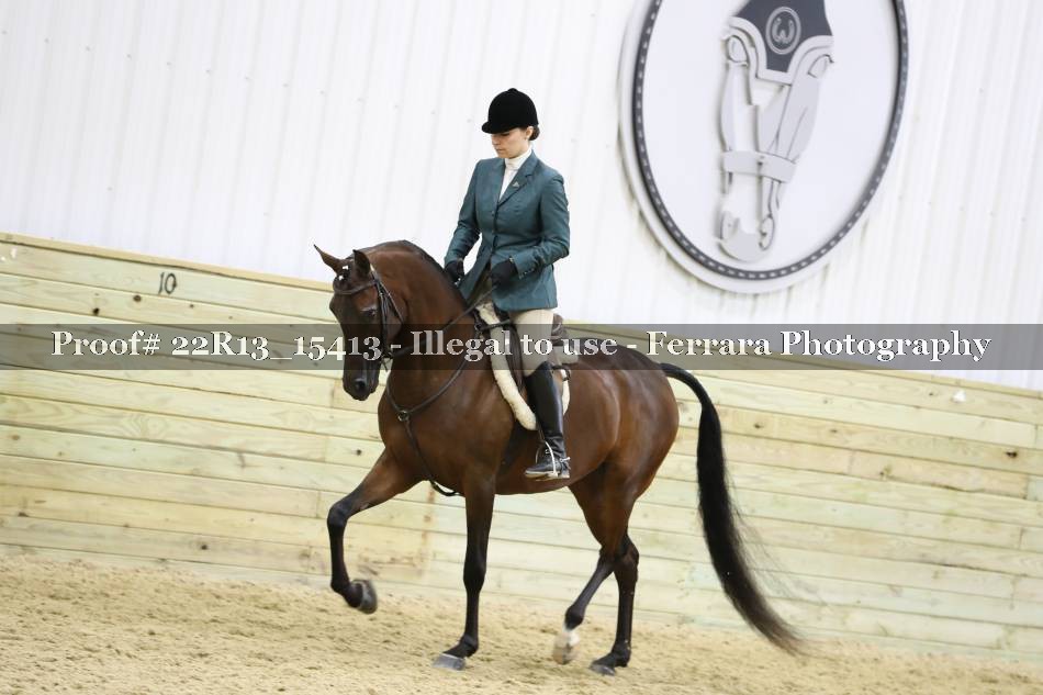 Proof 22R13_15413