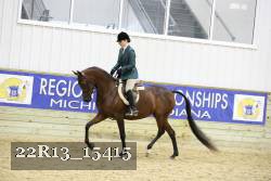 22R13_15415 proof