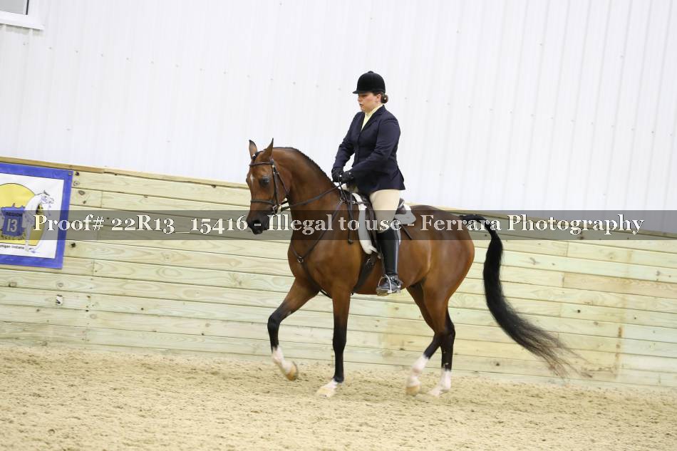Proof 22R13_15416
