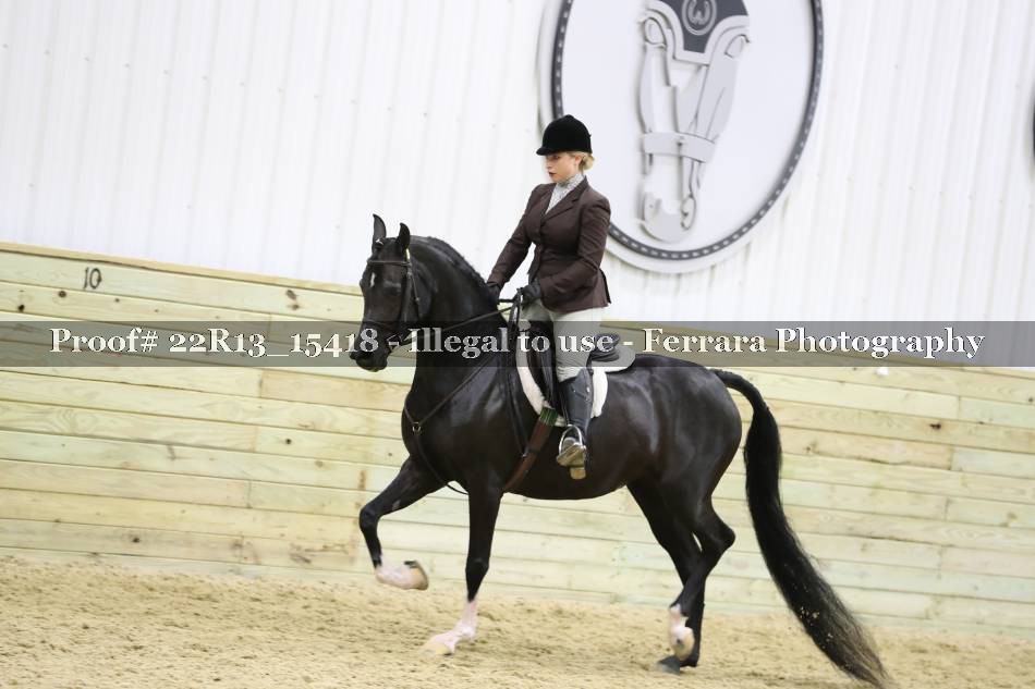 Proof 22R13_15418