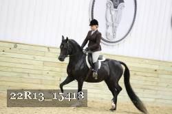22R13_15418 proof