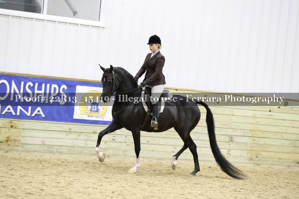 Proof 22R13_15419