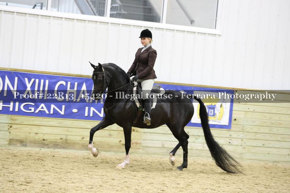 Proof 22R13_15420