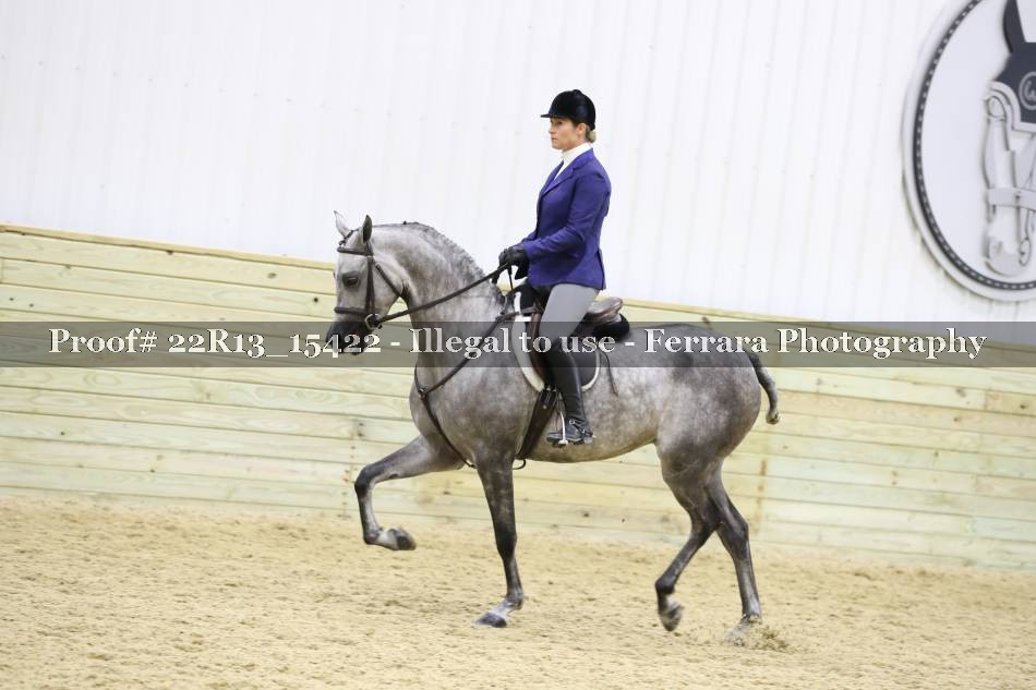 Proof 22R13_15422