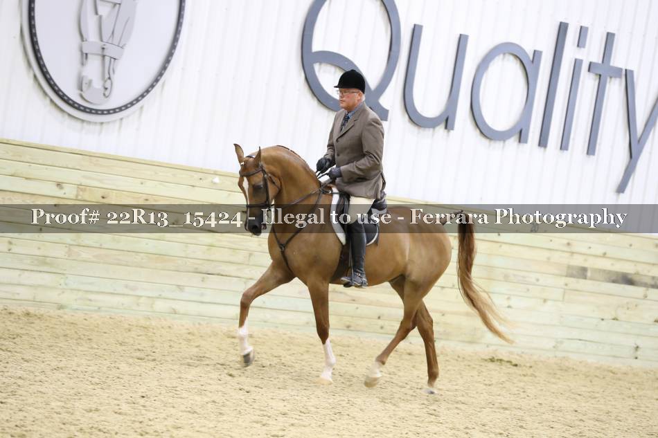 Proof 22R13_15424