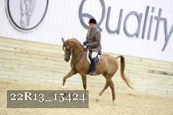 22R13_15424 proof