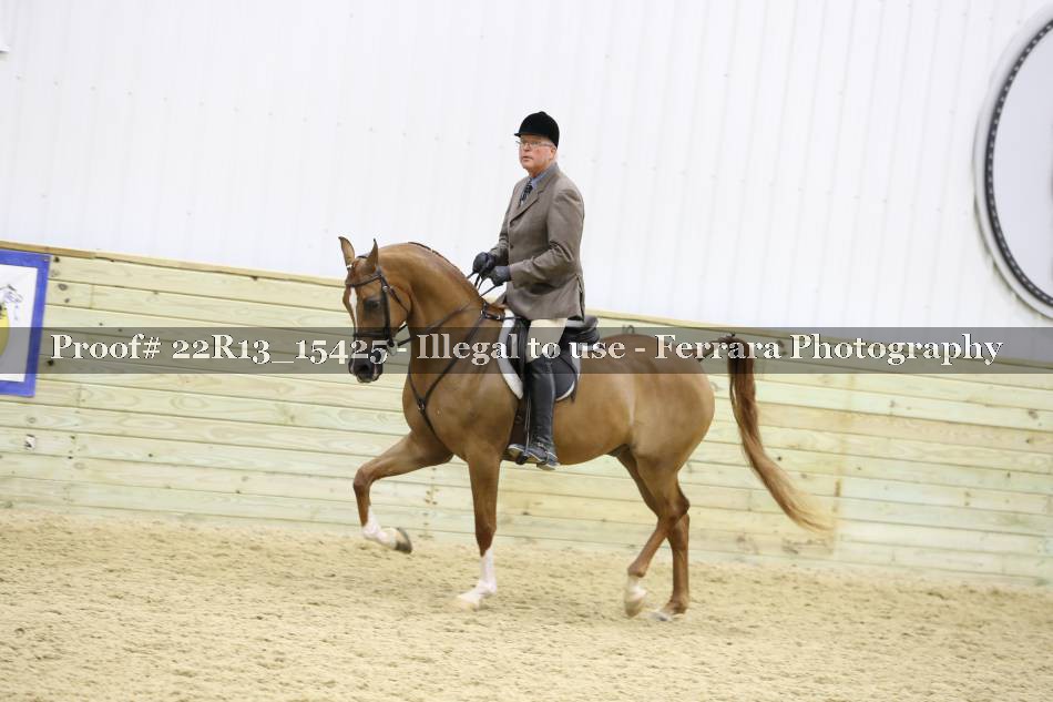 Proof 22R13_15425