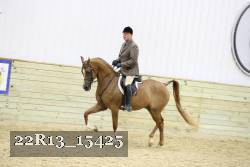22R13_15425 proof