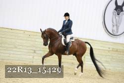 22R13_15429 proof