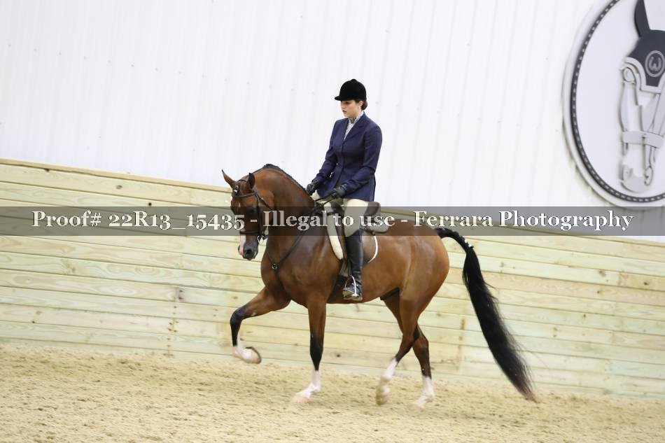 Proof 22R13_15435