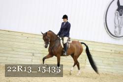 22R13_15435 proof