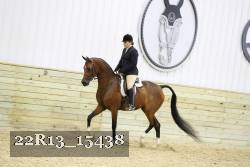 22R13_15438 proof