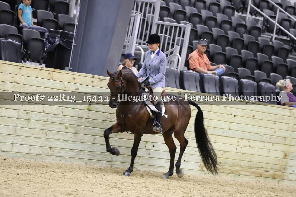Proof 22R13_15444