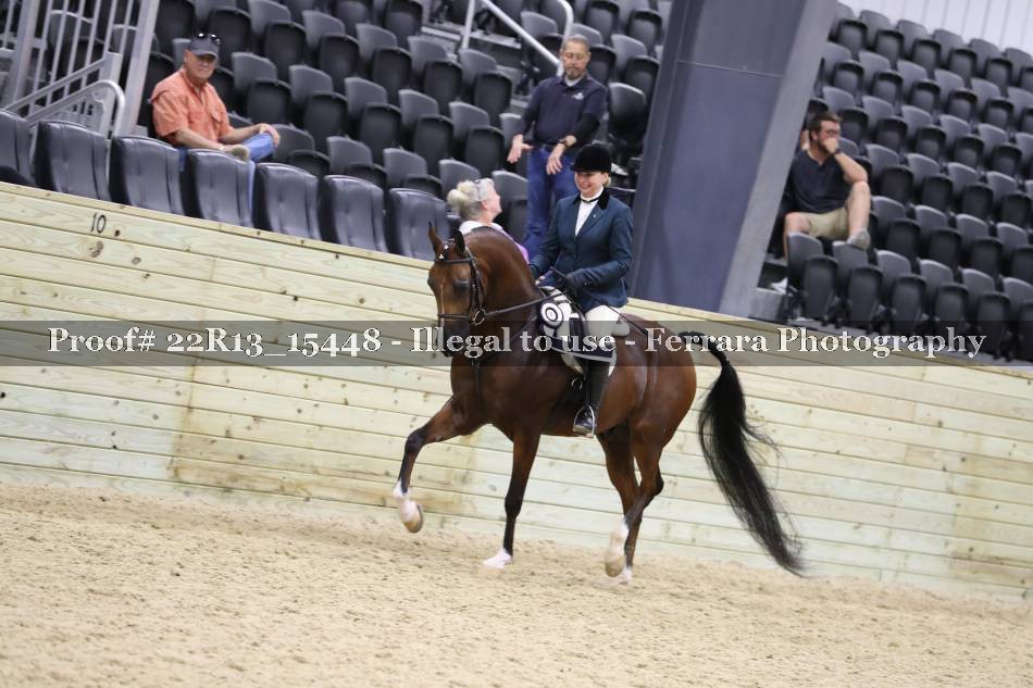 Proof 22R13_15448