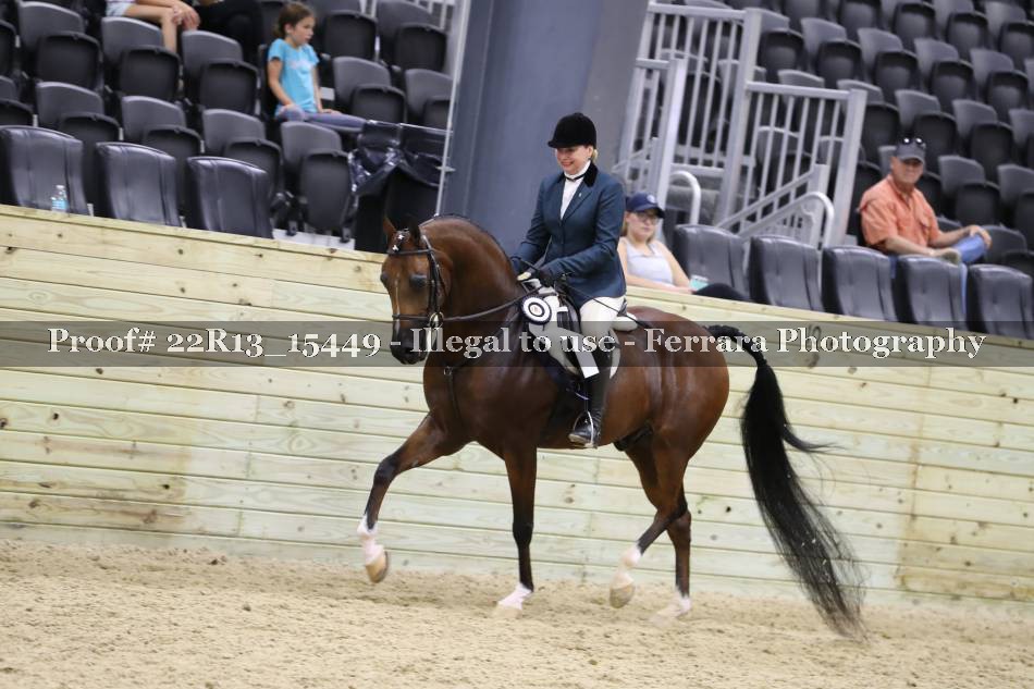 Proof 22R13_15449