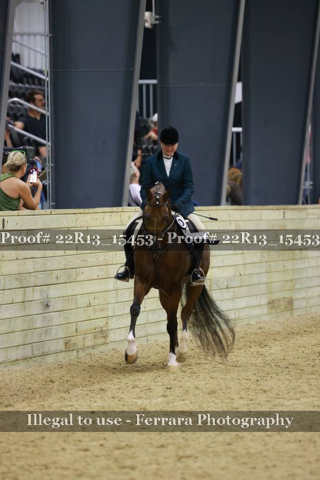 Proof 22R13_15453