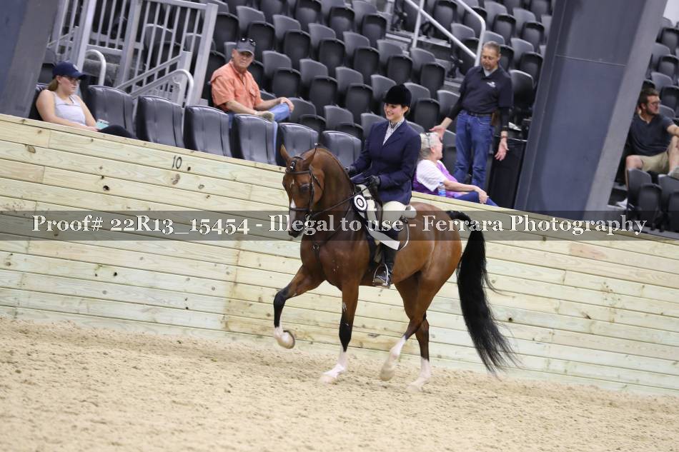 Proof 22R13_15454