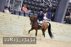 22R13_15454 proof