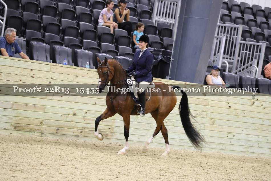Proof 22R13_15455