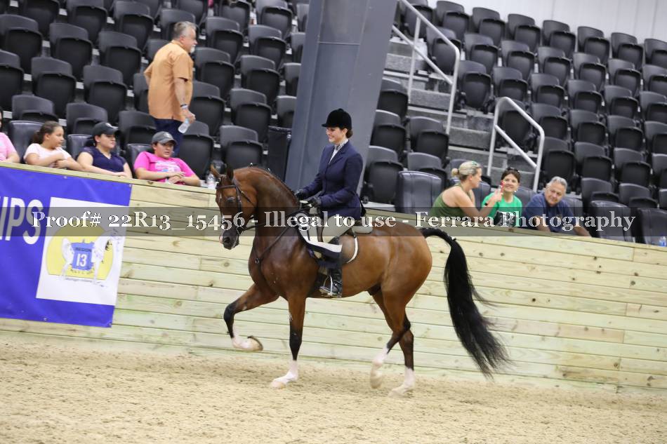 Proof 22R13_15456