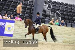 22R13_15456 proof