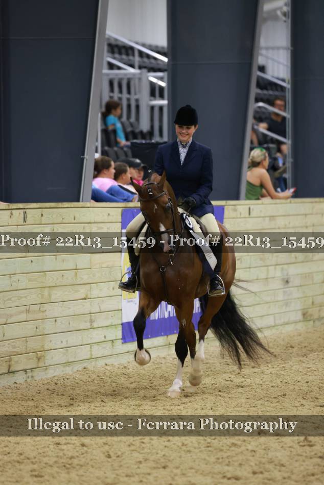 Proof 22R13_15459