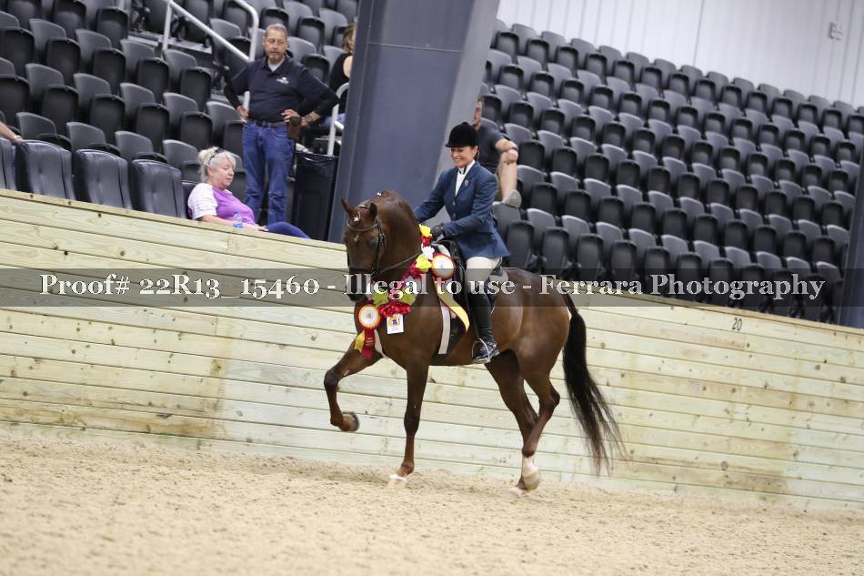 Proof 22R13_15460
