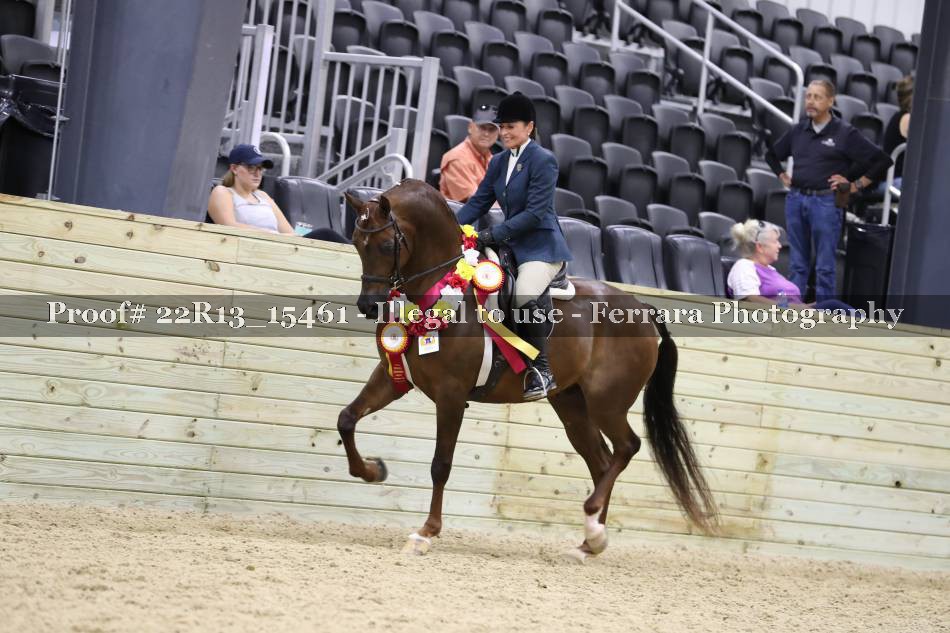 Proof 22R13_15461