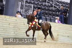 22R13_15461 proof
