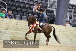 22R13_15462 proof