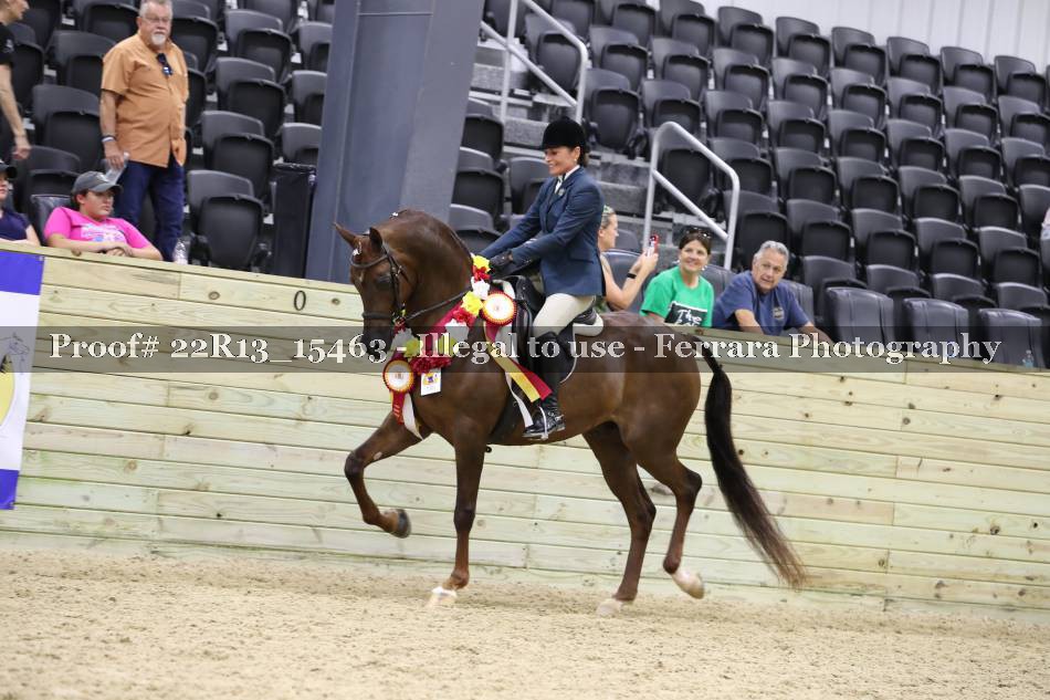 Proof 22R13_15463