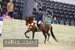 22R13_15463 proof