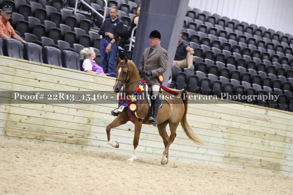 Proof 22R13_15466