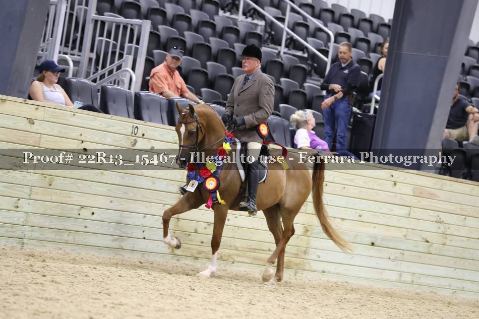 Proof 22R13_15467