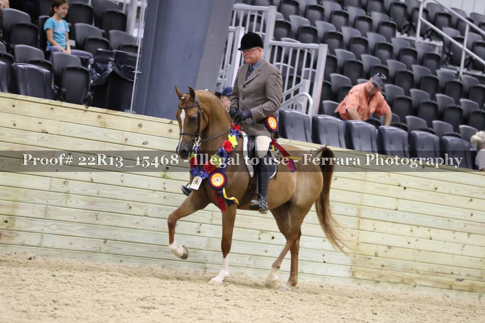 Proof 22R13_15468