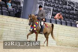 22R13_15468 proof