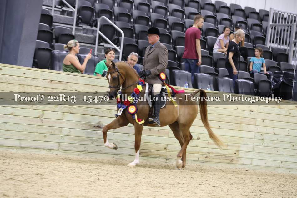 Proof 22R13_15470