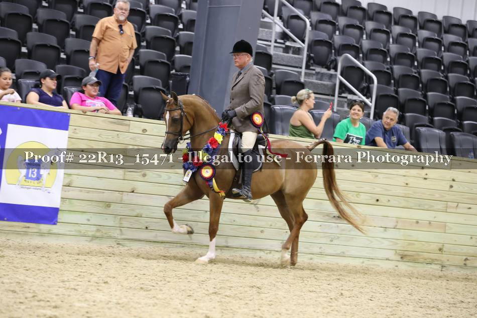 Proof 22R13_15471