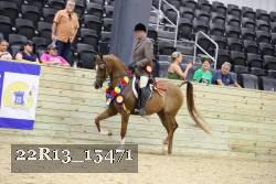 22R13_15471 proof