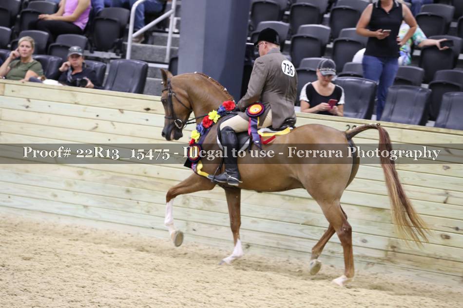 Proof 22R13_15475